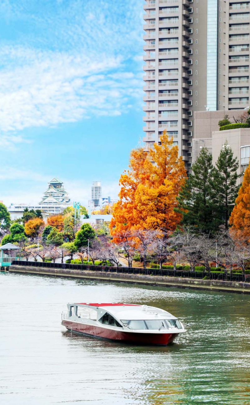 クルーズ船が大川を進む様子